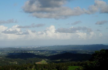 Treetops Accommodation Montville - Accommodation Sunshine Coast 63