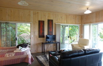 Treetops Accommodation Montville - Accommodation Sunshine Coast 64