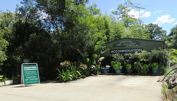 Treetops Accommodation Montville - Accommodation Sunshine Coast 67