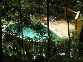 Treetops Accommodation Montville - Accommodation Sunshine Coast 74