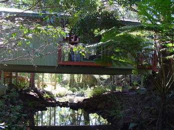 Treetops Accommodation Montville - Accommodation Sunshine Coast 87