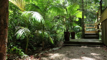 Treetops Accommodation Montville - Accommodation Sunshine Coast 89