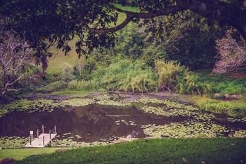 Allara Homestead - Accommodation Sunshine Coast 5