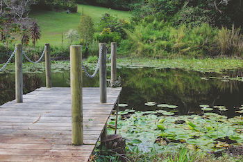 Allara Homestead - Accommodation Sunshine Coast 14