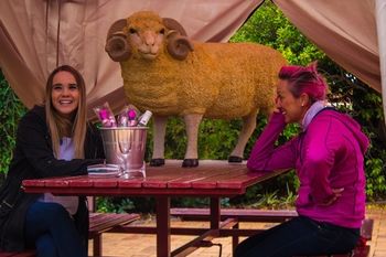 Shearing Shed Motor Inn - Accommodation Sunshine Coast 50