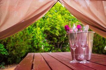Shearing Shed Motor Inn - Accommodation Sunshine Coast 51