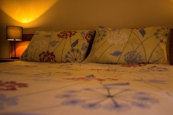 Shearing Shed Motor Inn - Accommodation Sunshine Coast 61