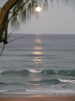 Andari - Accommodation Sunshine Coast 2