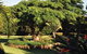 Peppertree Cottage - thumb 10