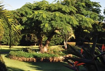 Peppertree Cottage - Accommodation Sunshine Coast 10