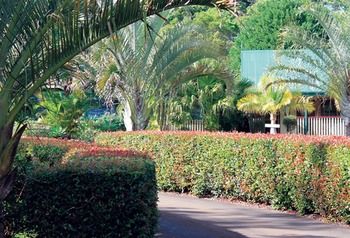 Peppertree Cottage - Accommodation Sunshine Coast 21