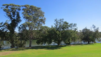 Macquarie Inn - Accommodation Sunshine Coast 17