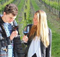 Valley Farm Vineyard Cottages - Accommodation Sunshine Coast
