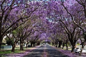 Civic Motel - Accommodation Sunshine Coast 2