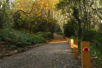 Santosa Cottage - Accommodation Sunshine Coast 8