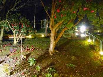 Aquila Nova Retreat - Accommodation Sunshine Coast 43