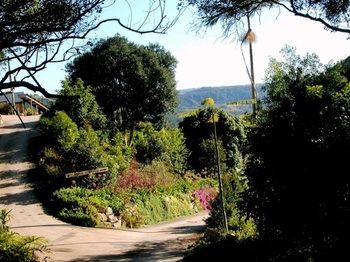 Top Of The Hill - Accommodation Sunshine Coast 3