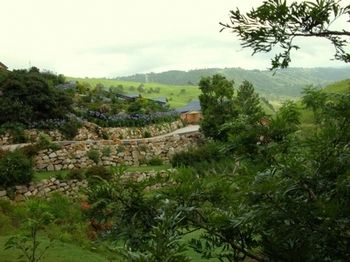 Top Of The Hill - Accommodation Sunshine Coast 6