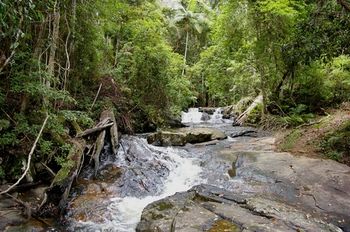 Bellthorpe Stays - Accommodation Sunshine Coast 18