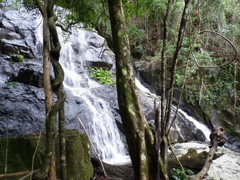 Bellthorpe Stays - Accommodation Sunshine Coast 21