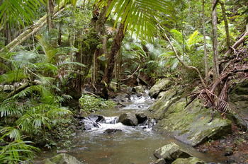 Bellthorpe Stays - Accommodation Sunshine Coast 25