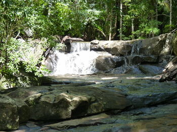 Bellthorpe Stays - Accommodation Sunshine Coast 27