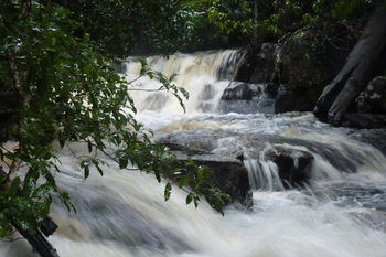 Bellthorpe Stays - Accommodation Sunshine Coast 28