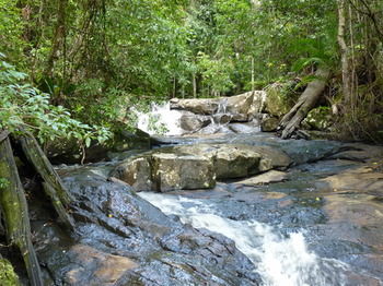 Bellthorpe Stays - Accommodation Sunshine Coast 29
