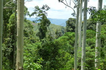 Bellthorpe Stays - Accommodation Sunshine Coast 31