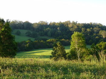 Bellthorpe Stays - Accommodation Sunshine Coast 32