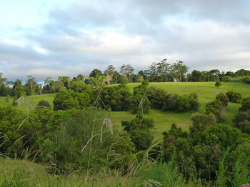 Bellthorpe Stays - Accommodation Sunshine Coast 34