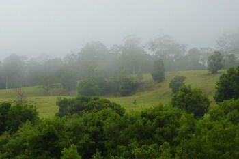 Bellthorpe Stays - Accommodation Sunshine Coast 35