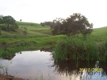 Bellthorpe Stays - Accommodation Sunshine Coast 39