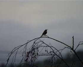 Viewenmore Villa Bed & Breakfast - Accommodation Sunshine Coast 5