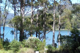 Classic Cottages S/C Accommodation - Accommodation Sunshine Coast 1