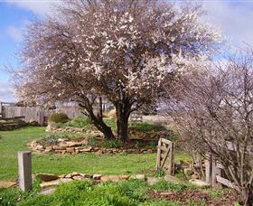 Lakeview Cottage - Accommodation Sunshine Coast 3