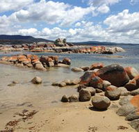 Lake Eckersley campground - Accommodation Sunshine Coast
