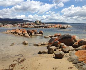Lake Eckersley Campground - Accommodation Sunshine Coast 0