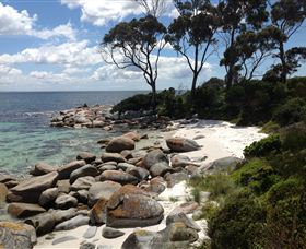 Lake Eckersley Campground - Accommodation Sunshine Coast 2