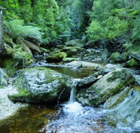 Tarkine Wilderness Experience at Corinna - Accommodation Sunshine Coast