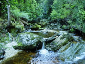 Tarkine Wilderness Experience At Corinna - Accommodation Sunshine Coast 0
