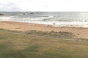 Penguin Caravan Park - Accommodation Sunshine Coast 0