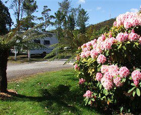 Zeehan Bush Camp  And Caravan Park - Accommodation Sunshine Coast 0