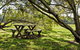 Freshwater Creek Cottages - thumb 4
