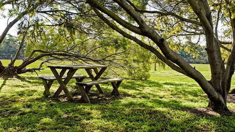 Freshwater Creek Cottages - Accommodation Sunshine Coast 4