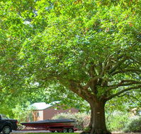 Lakes and Craters Holiday Park - Accommodation Sunshine Coast
