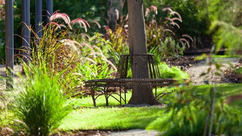 Comfort Inn & Suites Blazing Stump - Accommodation Sunshine Coast 5