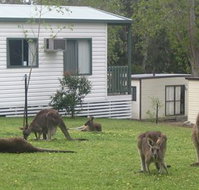 Halls Gap Caravan Park - Accommodation Sunshine Coast