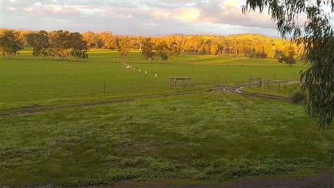 Rotherlea Lodge - Accommodation Sunshine Coast 4