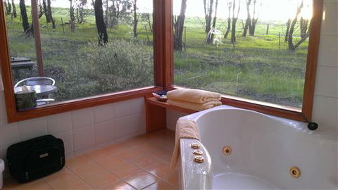 Rotherlea Lodge - Accommodation Sunshine Coast 5